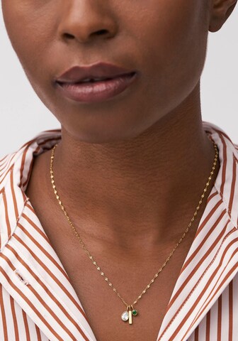 FOSSIL Necklace in Gold