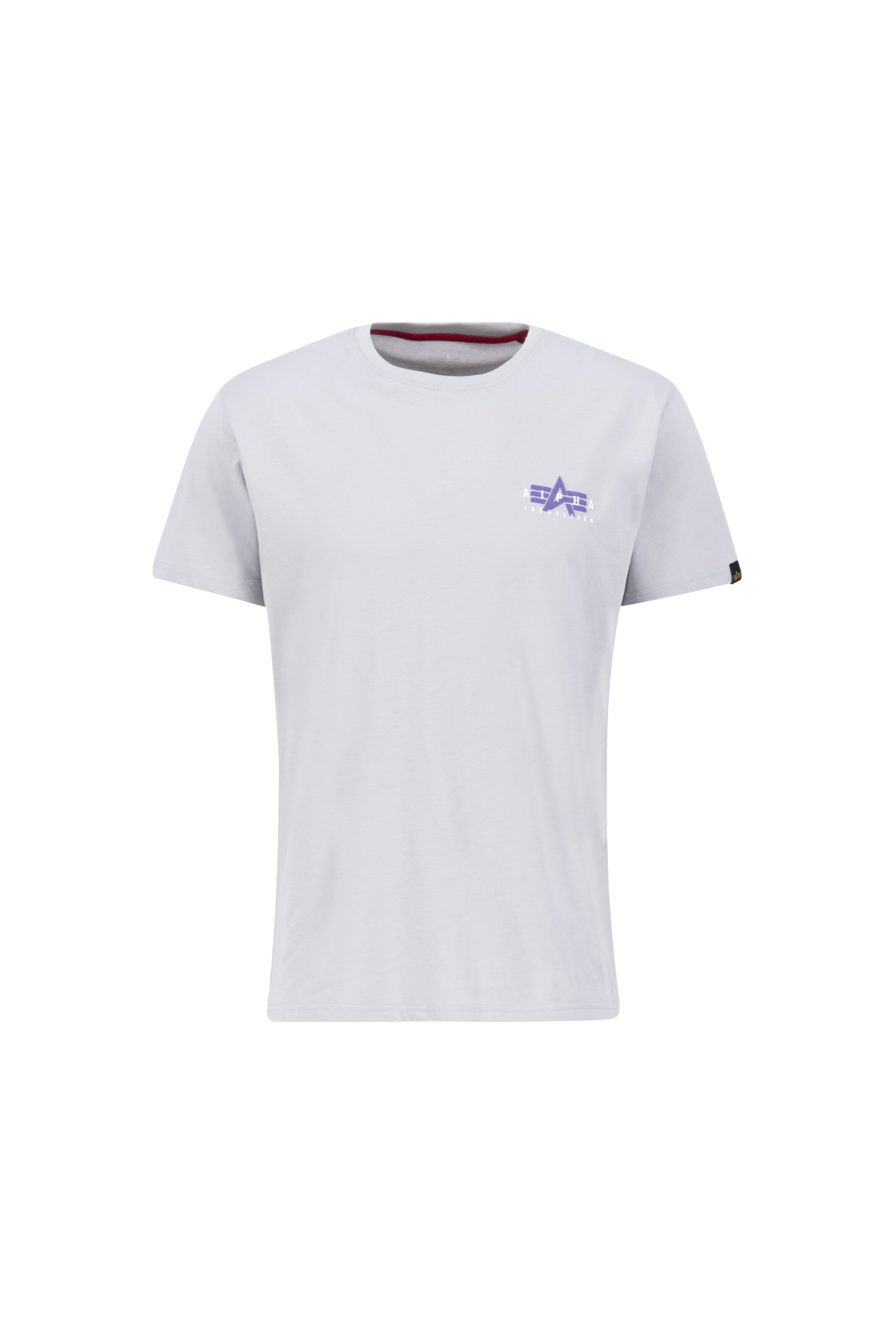 Maglietta di ALPHA INDUSTRIES in grigio: frontale