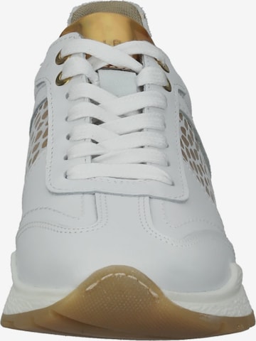 BULLBOXER Sneakers in White