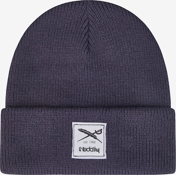 Iriedaily Beanie 'Smurpher Heavy' in Grey: front