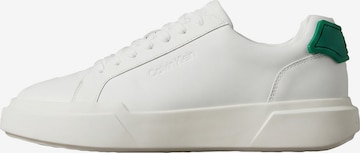 Baskets basses Calvin Klein en blanc : devant