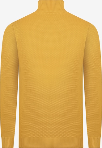 DENIM CULTURE Sweater 'Giotto' in Yellow