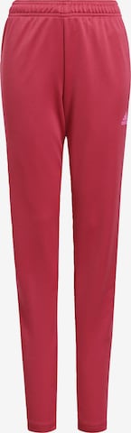 ADIDAS SPORTSWEAR Tapered Workout Pants in Pink: front