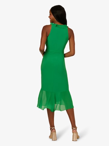 Adrianna Papell Kleid in Grün
