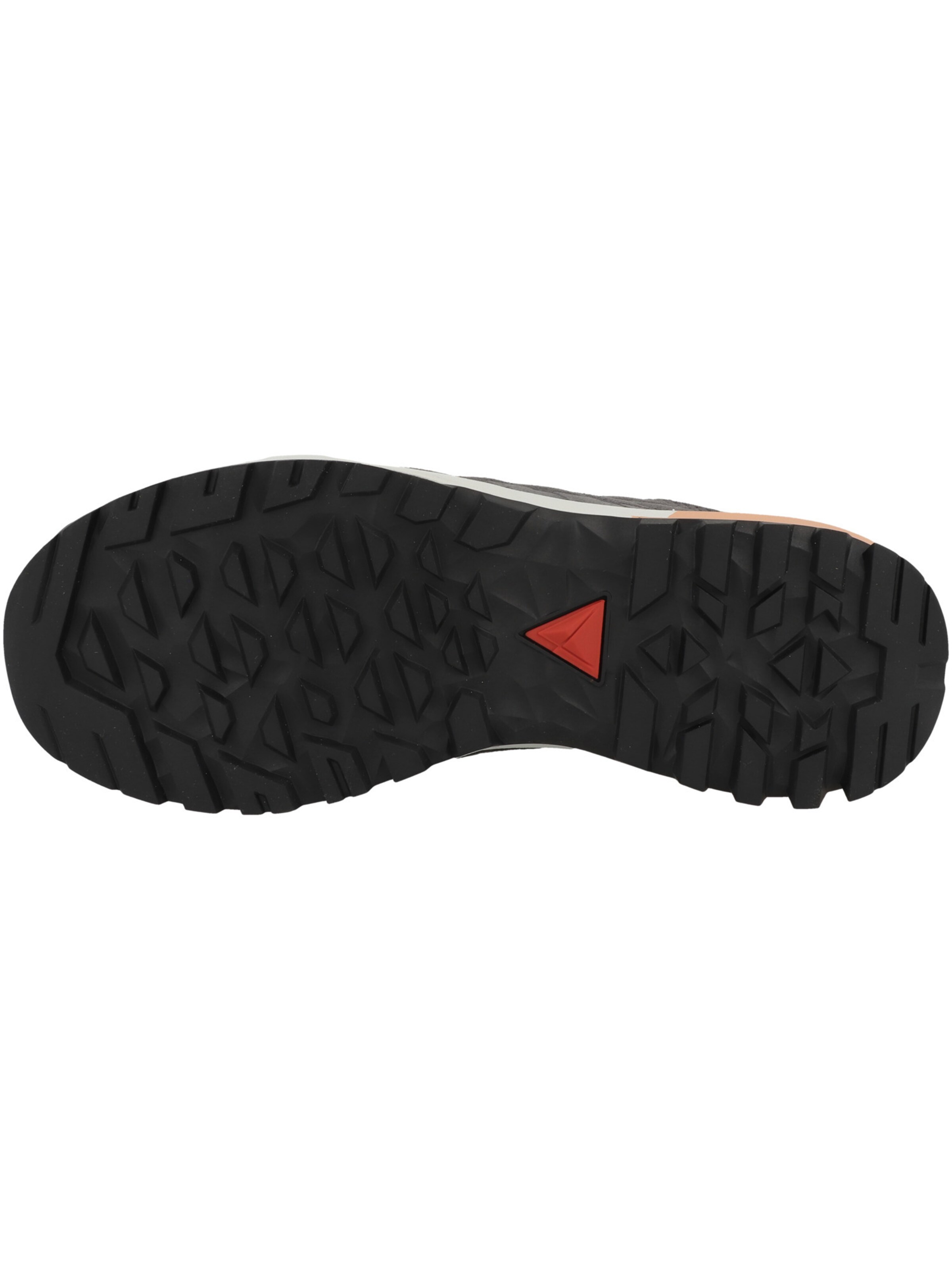 Scarpa bassa 'Sf-21 Gtx' di Dachstein in grigio