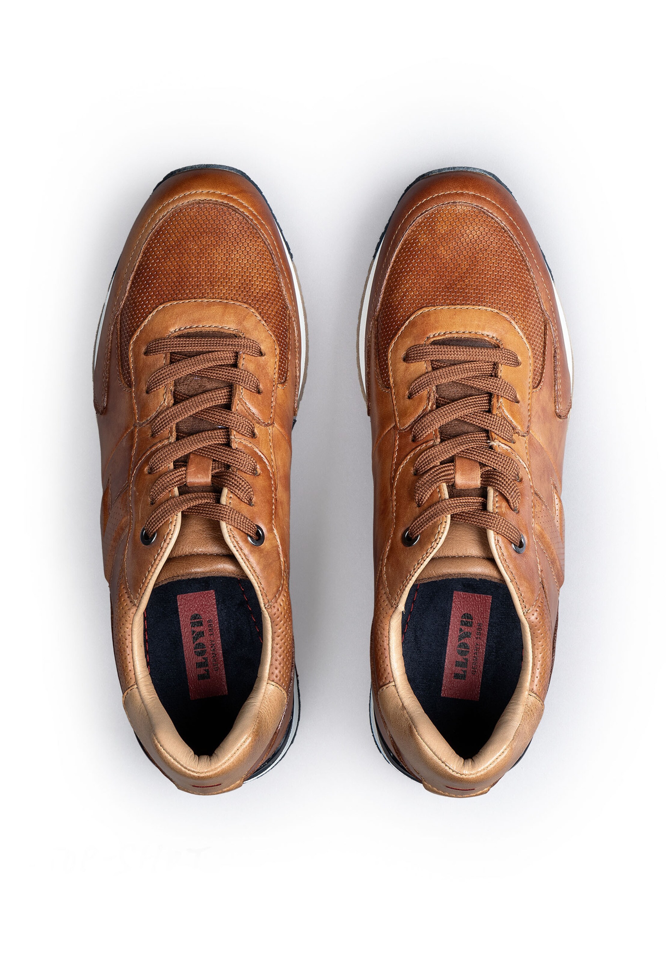 LLOYD Platform trainers 'ENOS' in Brown