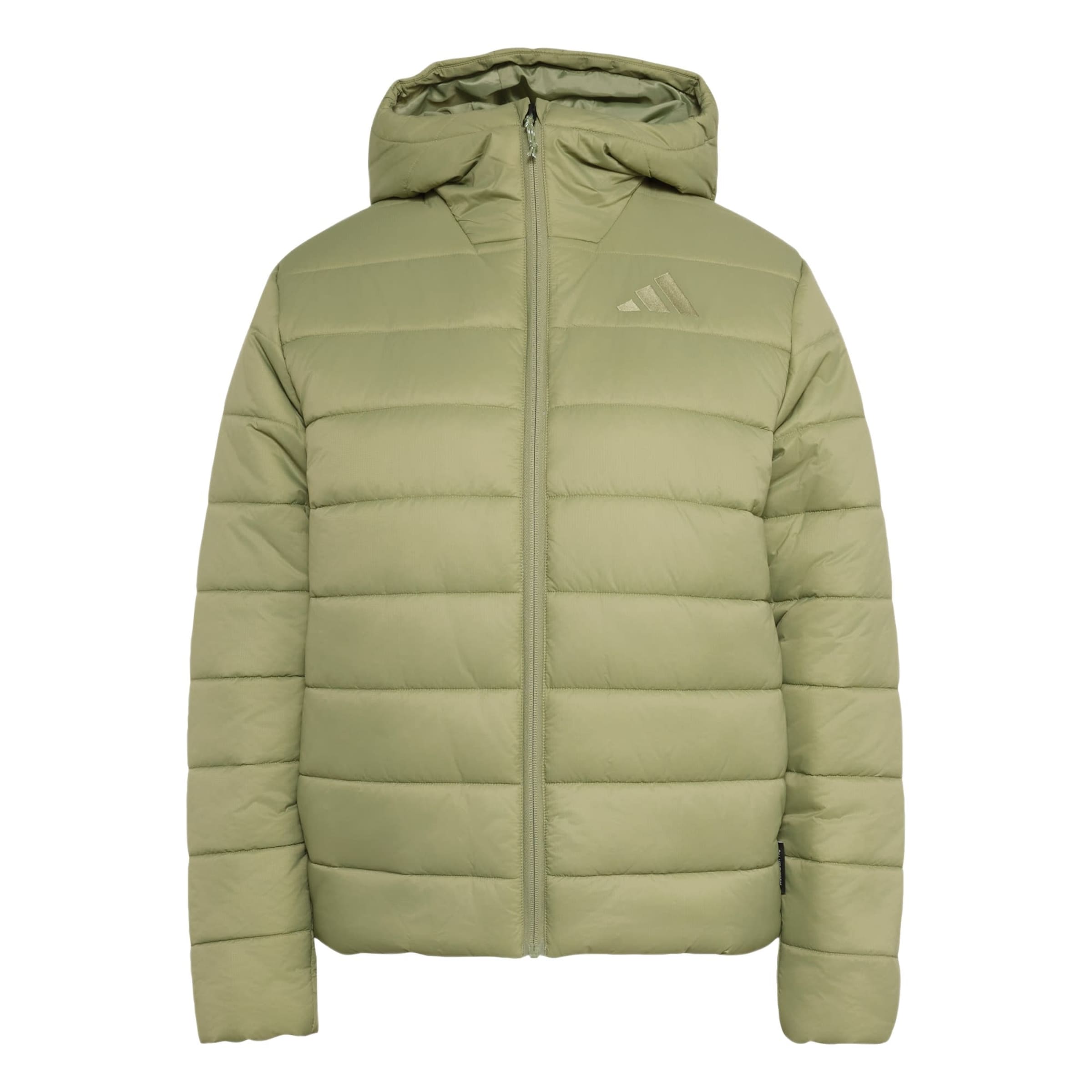 Giacca per outdoor 'Multi Essentials' di ADIDAS TERREX in verde: frontale