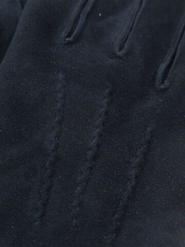 Suitable Full Finger Gloves in Blue
