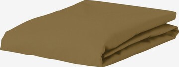 ESSENZA Bed Sheet 'Minte' in Green: front