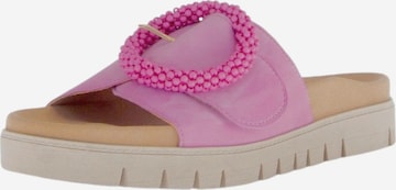 Zoccoletto di GABOR in rosa: frontale