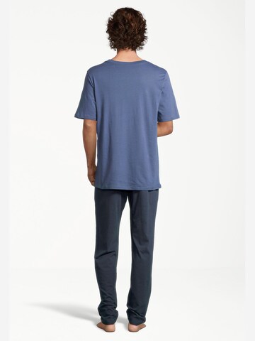 SCHIESSER Pajama short 'Night & Home' in Blue