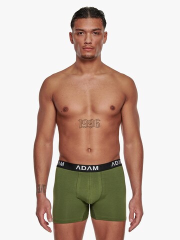 Adam Boxershorts '6er Pack'‌‌‌‌ in Grün: Vorderseite
