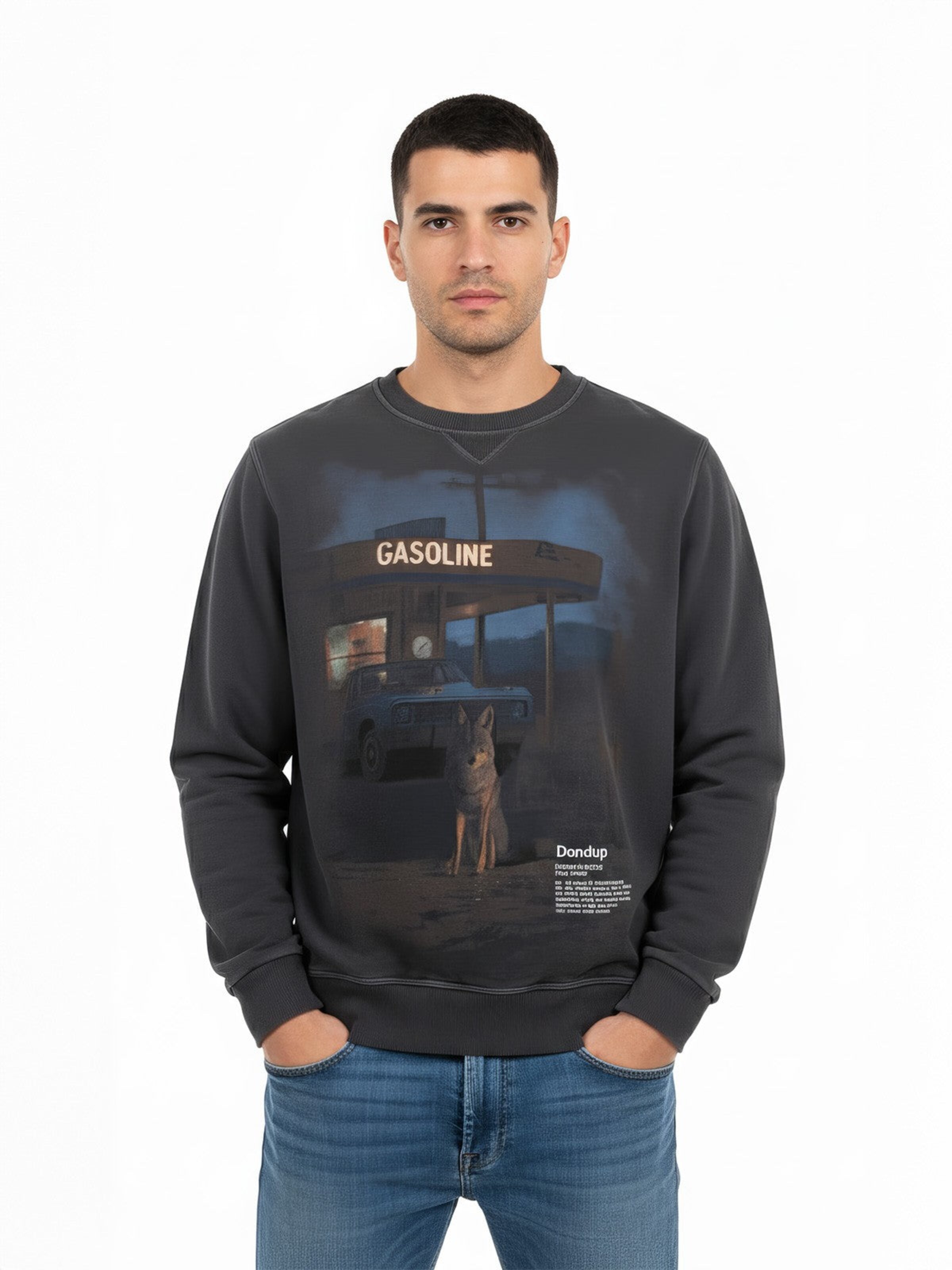 Dondup Sweatshirt‌‌‌‌‌‌‌‌‌‌ in Mischfarben: Vorderseite