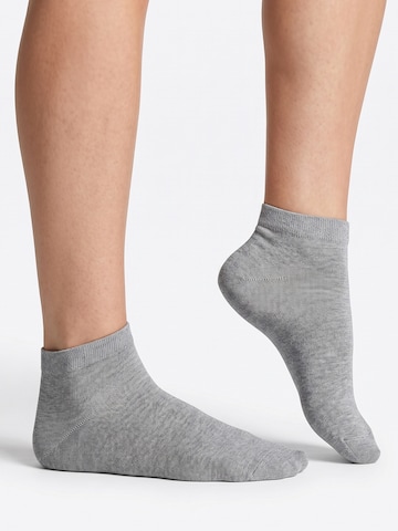 footstar Socks 'EVERYDAY!' in Grey