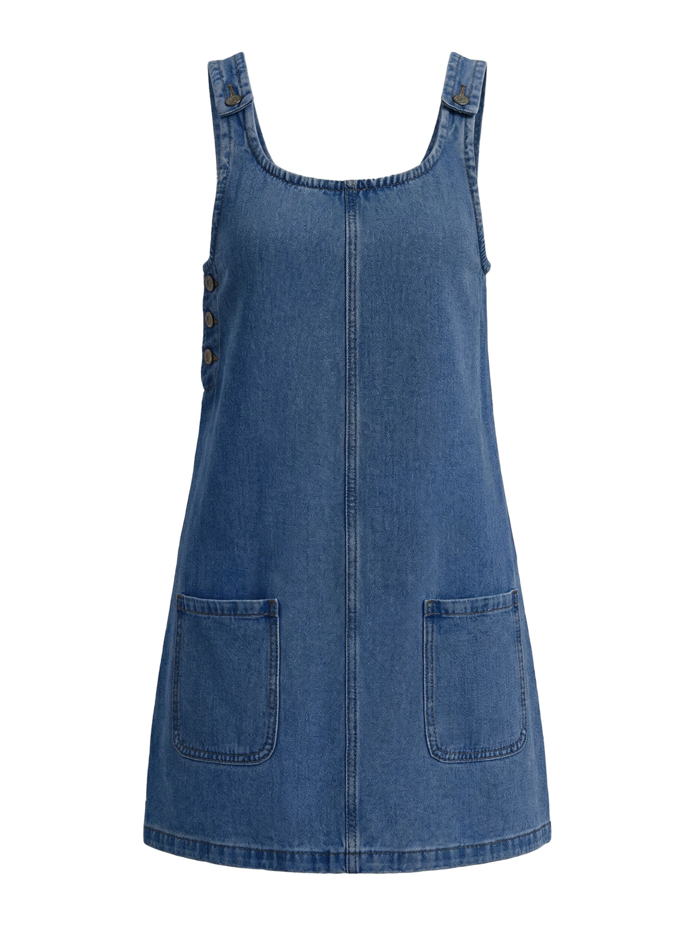 Imily Bela Dress in Blue: front