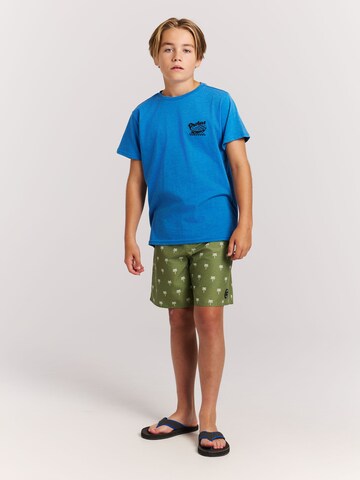 PROTEST Board Shorts 'PRTCalvin JR' in Green