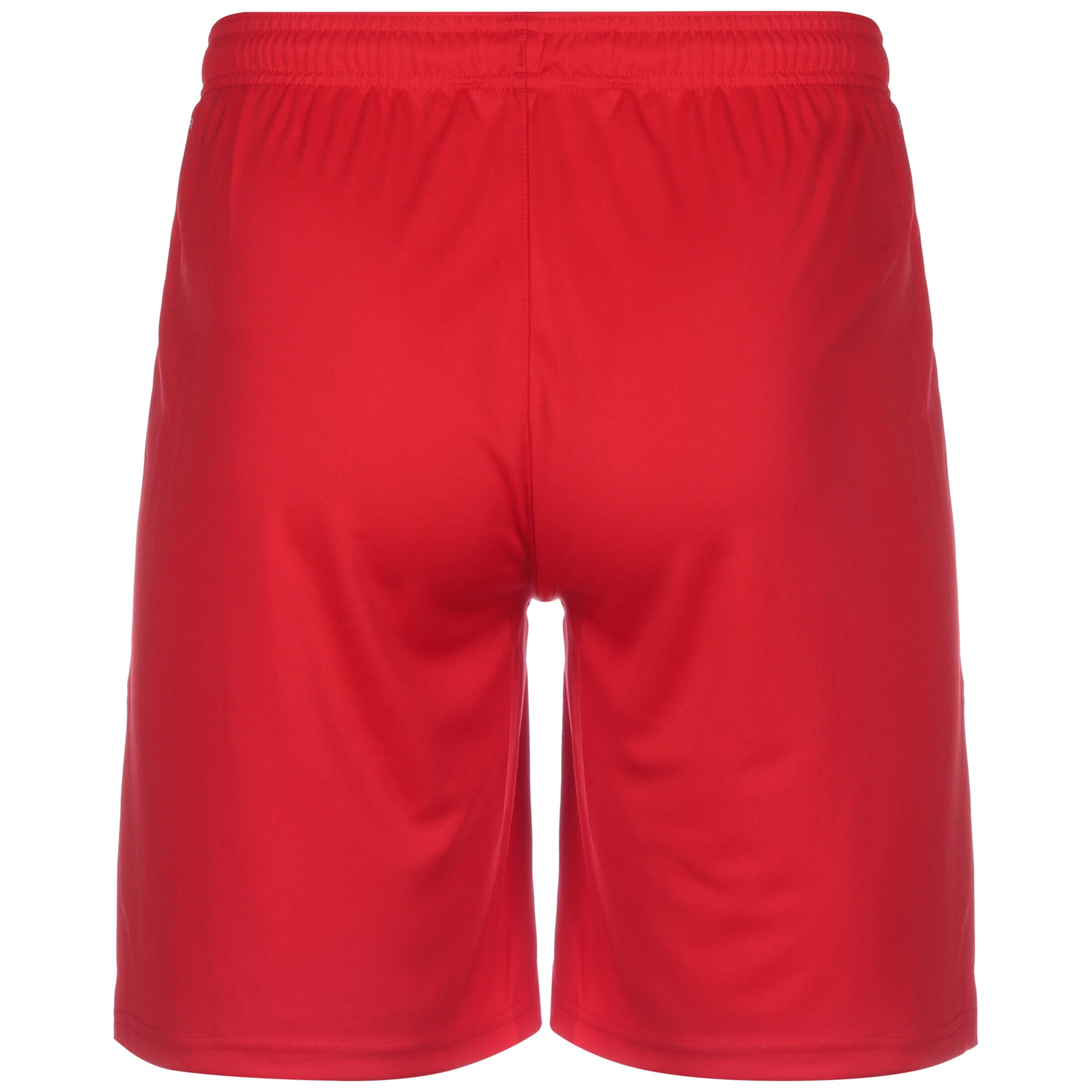 PUMA Regular Workout Pants 'TeamLiga' in Red
