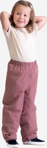 BMS Regular Outdoor Pants in Purple: front