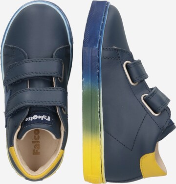 Falcotto Sneaker 'SASHA' in Blau