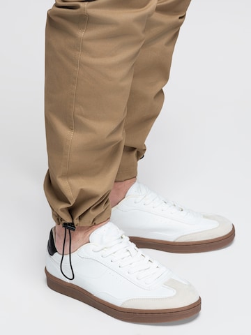 Ombre Regular Cargo Pants in Brown
