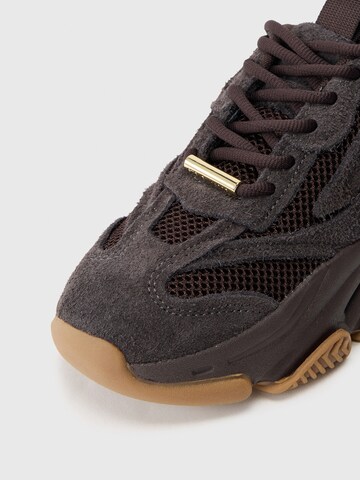 STEVE MADDEN Sneaker 'POSSESSION' in Braun
