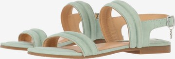 MEXX Strap Sandals in Blue