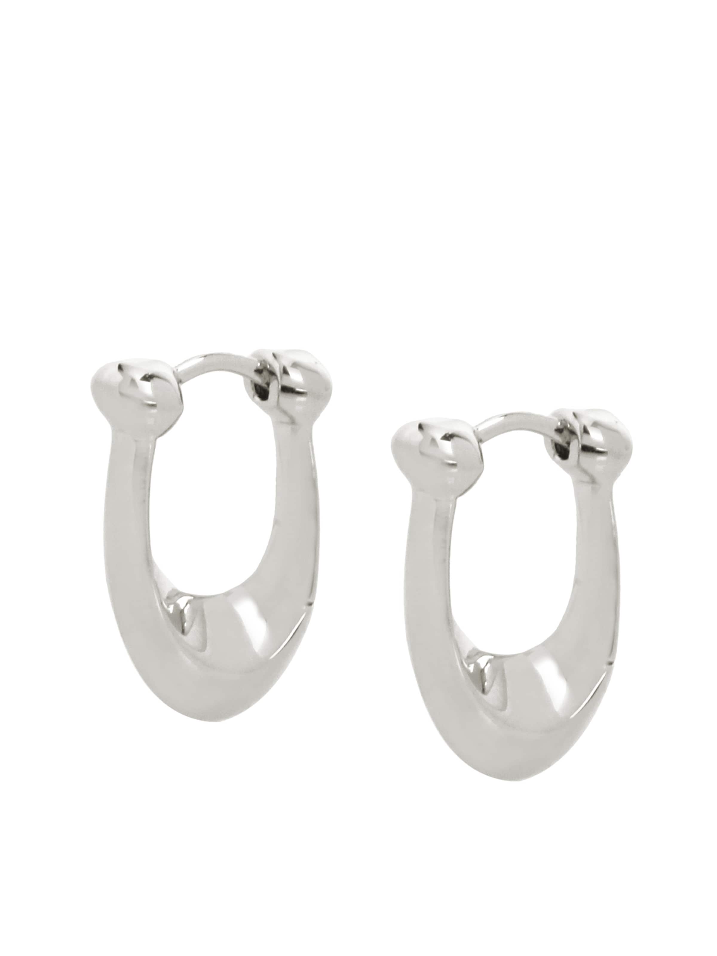 COACH Серьги в Серебристый, Обзор товара