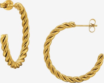 Maxte Ohrringe in Gold: Vorderseite