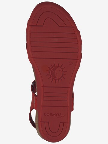 COSMOS COMFORT Sandalen met riem in Rood