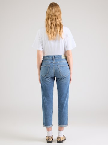 Herrlicher Szabványos Farmer 'Shyra' - kék