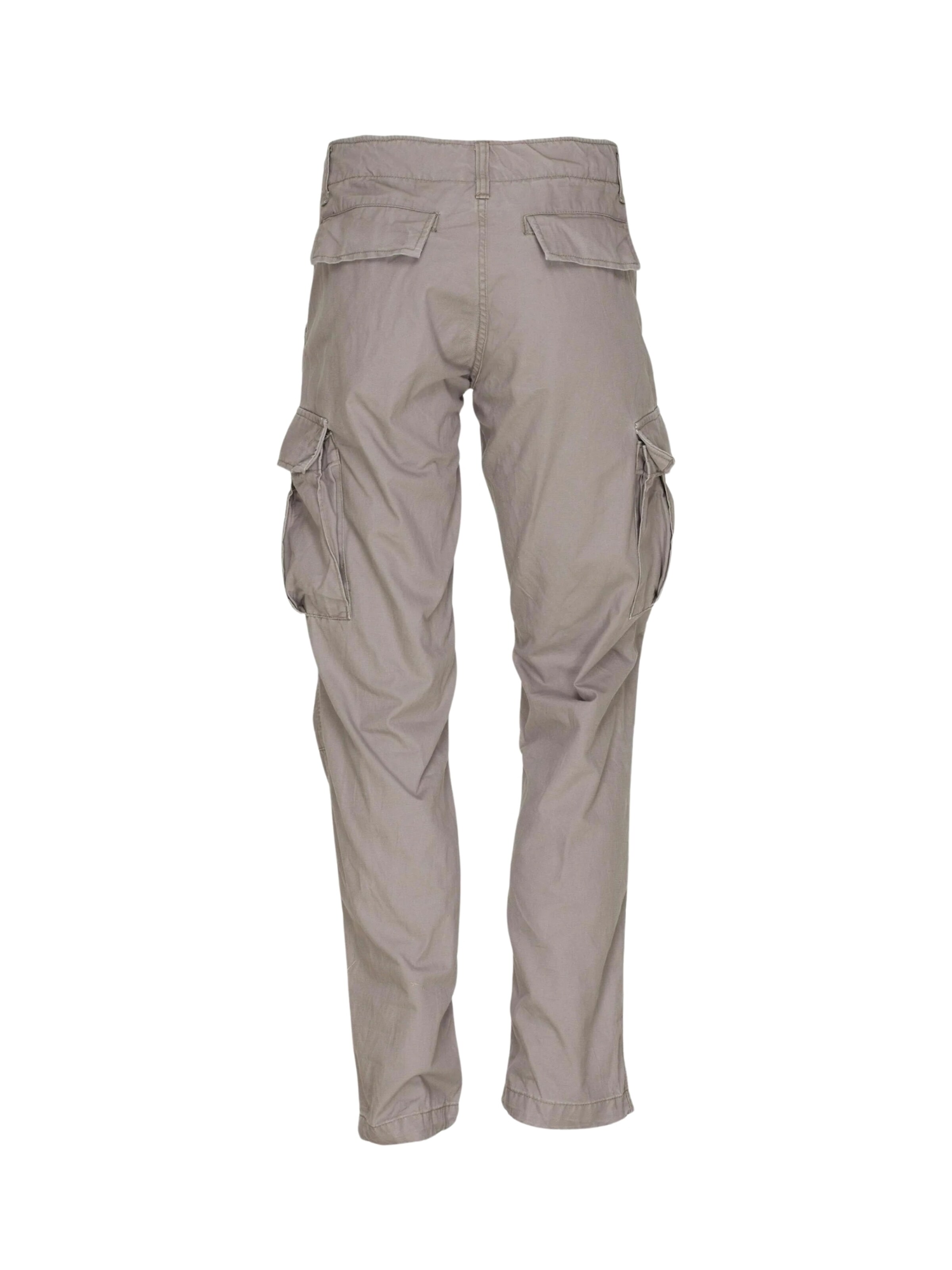 Regular Pantalon cargo 'Fitted' Molecule en gris