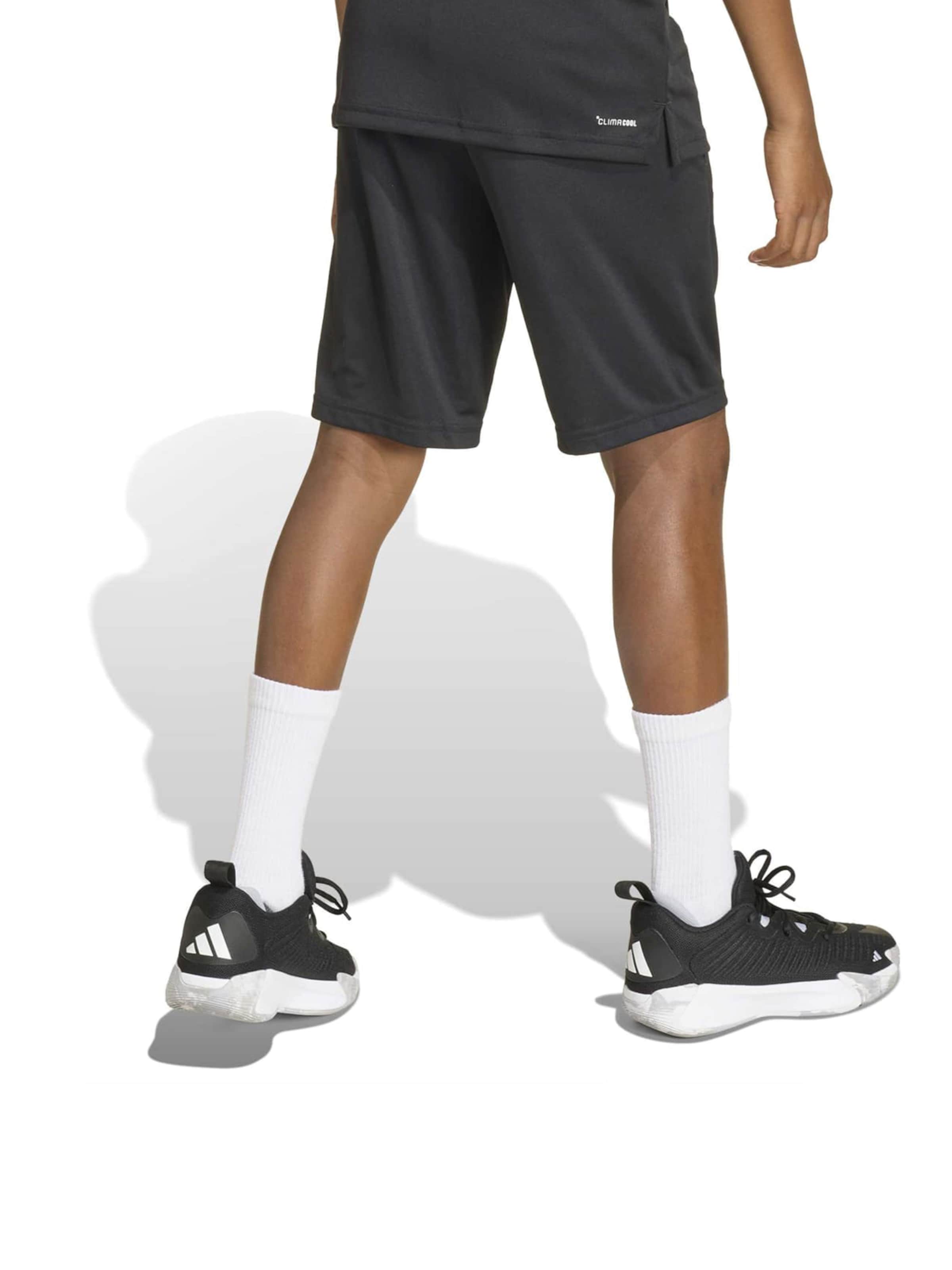 ADIDAS SPORTSWEAR - regular Pantalón deportivo 'TR-ES' en negro