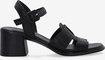 VENEZIA Sandals in Black: front