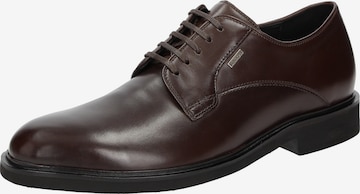 SIOUX Lace-Up Shoes 'Nazareno' in Brown: front