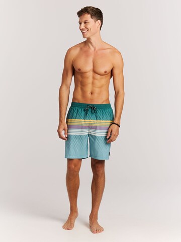 PROTEST Board Shorts 'PRTLatika' in Green