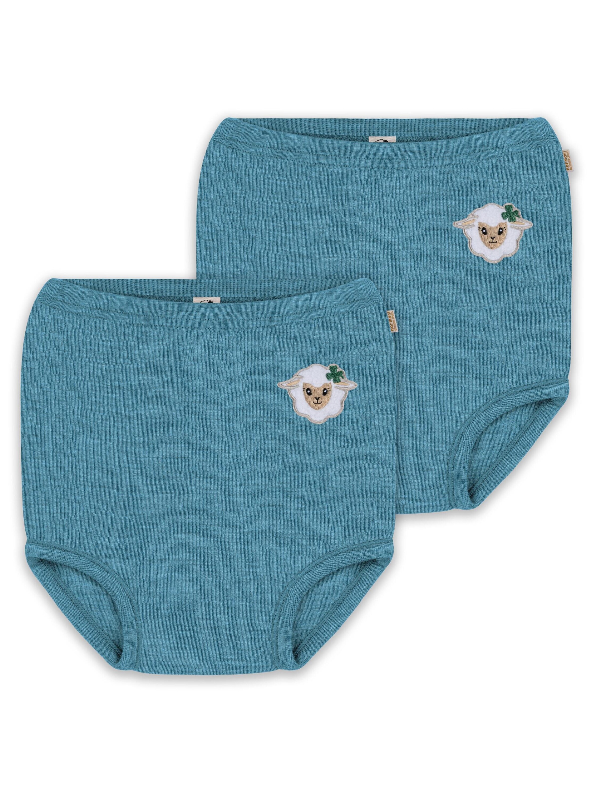 Sous-vêtements 'Tokoroa' normani en bleu : devant