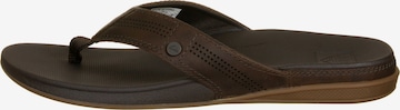 REEF Beach & Pool Shoes 'Cushion Bounce Lux' in Brown
