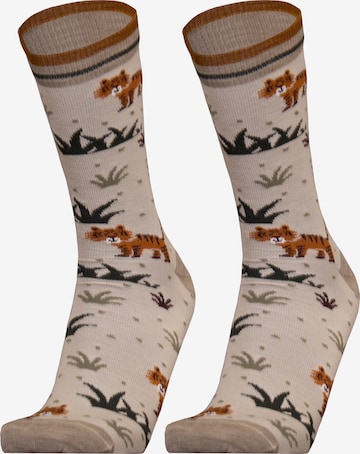 UphillSport Socks 'TIGER' in Brown