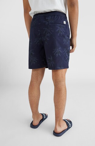 O'NEILL Loosefit Shorts 'Tasman' in Blau