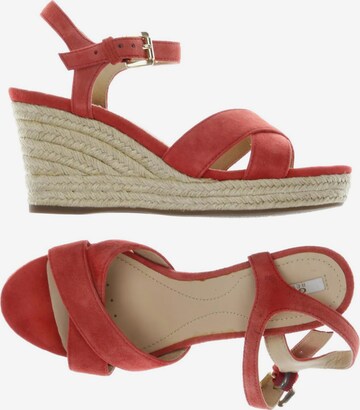GEOX Sandals & High-Heeled Sandals in 35 in Red: front