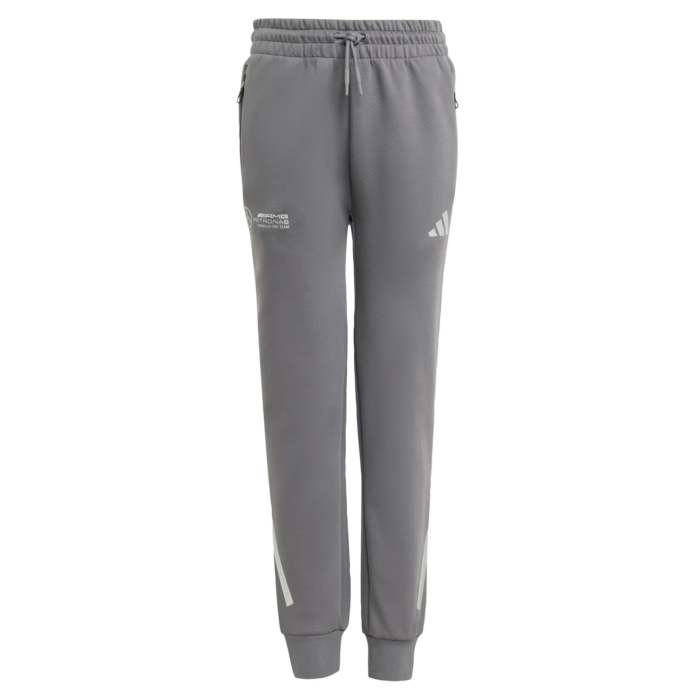 ADIDAS PERFORMANCE Tapered Sporthose 'Mercedes - AMG Petronas Formula One Team' in Grau: Vorderseite