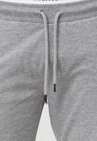 INDICODE JEANS Regular Pants 'Eckerd' in Grey