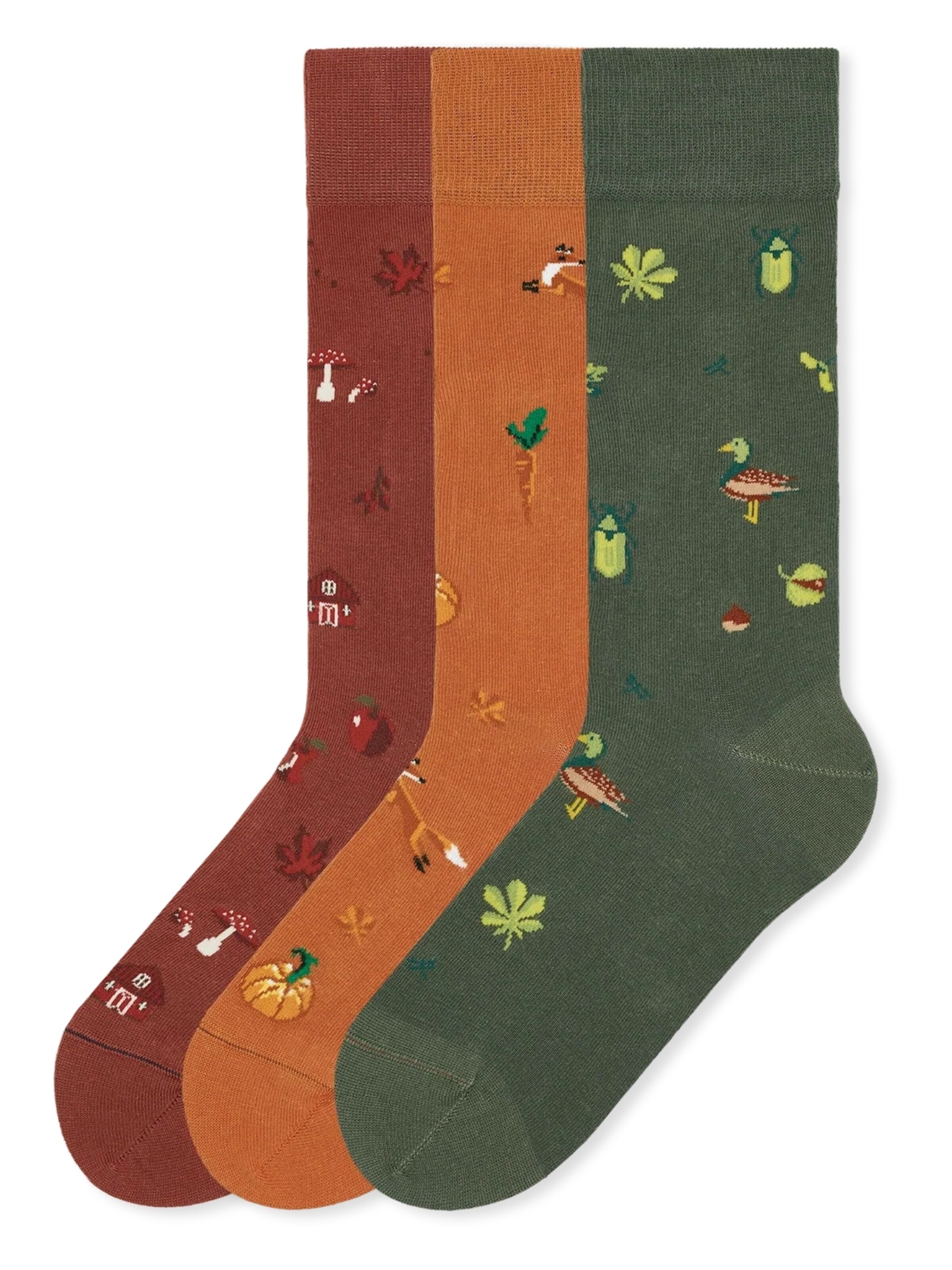 Von Jungfeld Socks 'Icons Socken-Set' in Mixed colors: front