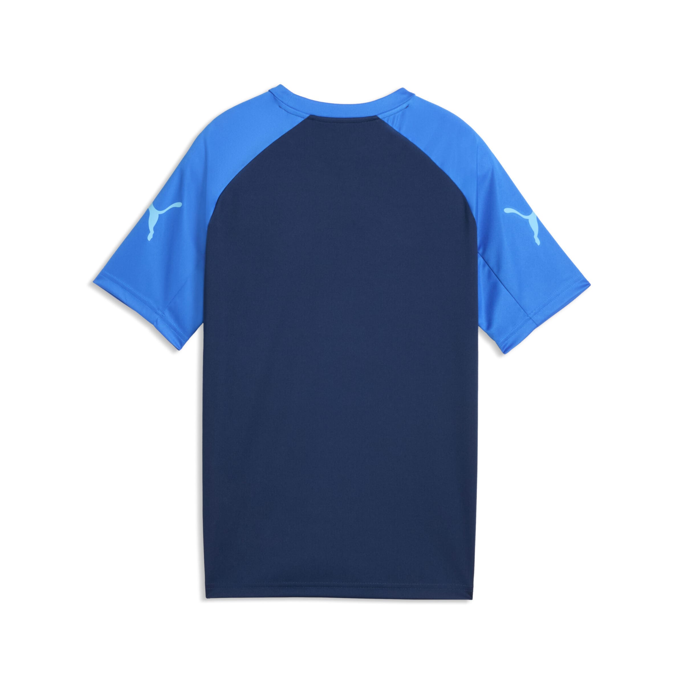 PUMA Functioneel shirt in Blauw