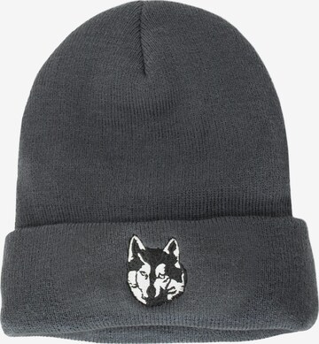 Polar Husky Beanie in Grey: front