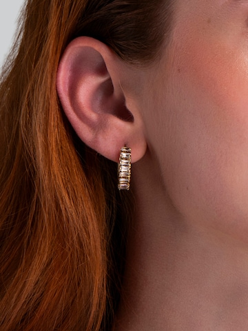 Boucles d'oreilles Amberz en or