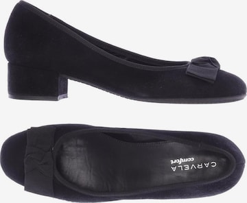 Carvela Pumps 39 in Schwarz: predná strana