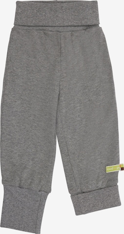 loud + proud Pants 'Mitwachs' in Grey: front