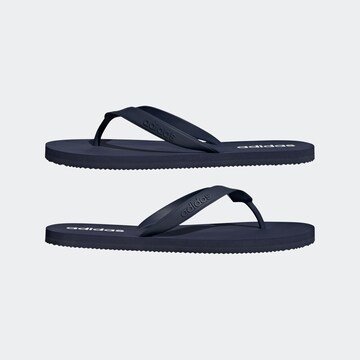 ADIDAS SPORTSWEAR Босоножки через палец в Синий