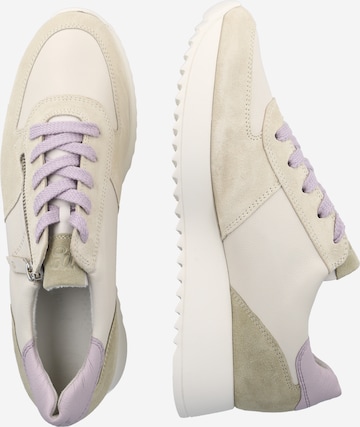 Paul Green Sneaker in Grau